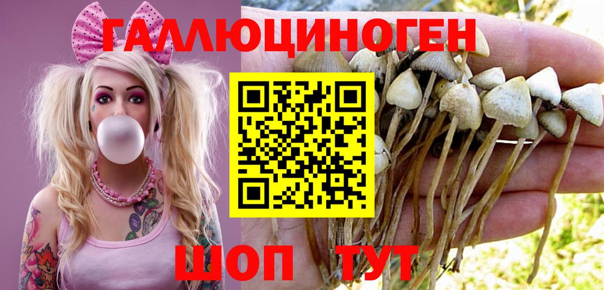 Псилоцибиновые грибы Psilocybine cubensis  Вход с VPN  Кудымкар  Галлюциногенные грибы Cubensis 
