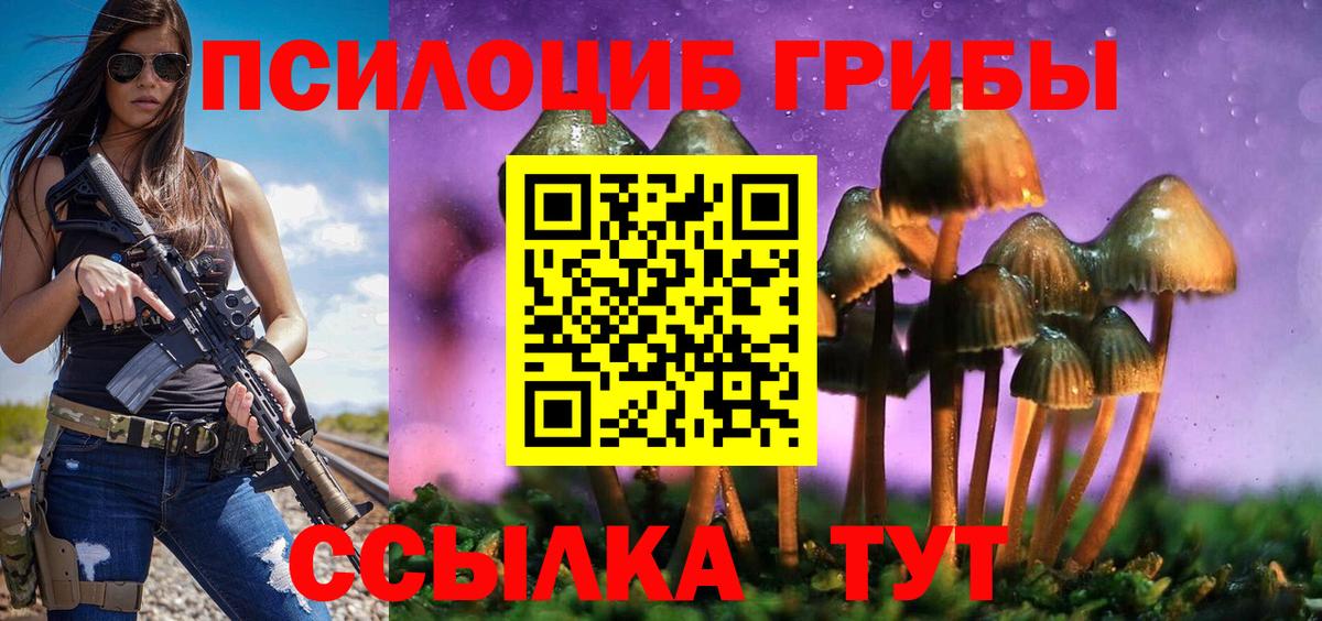 Галлюциногенные грибы Psilocybe Кудымкар